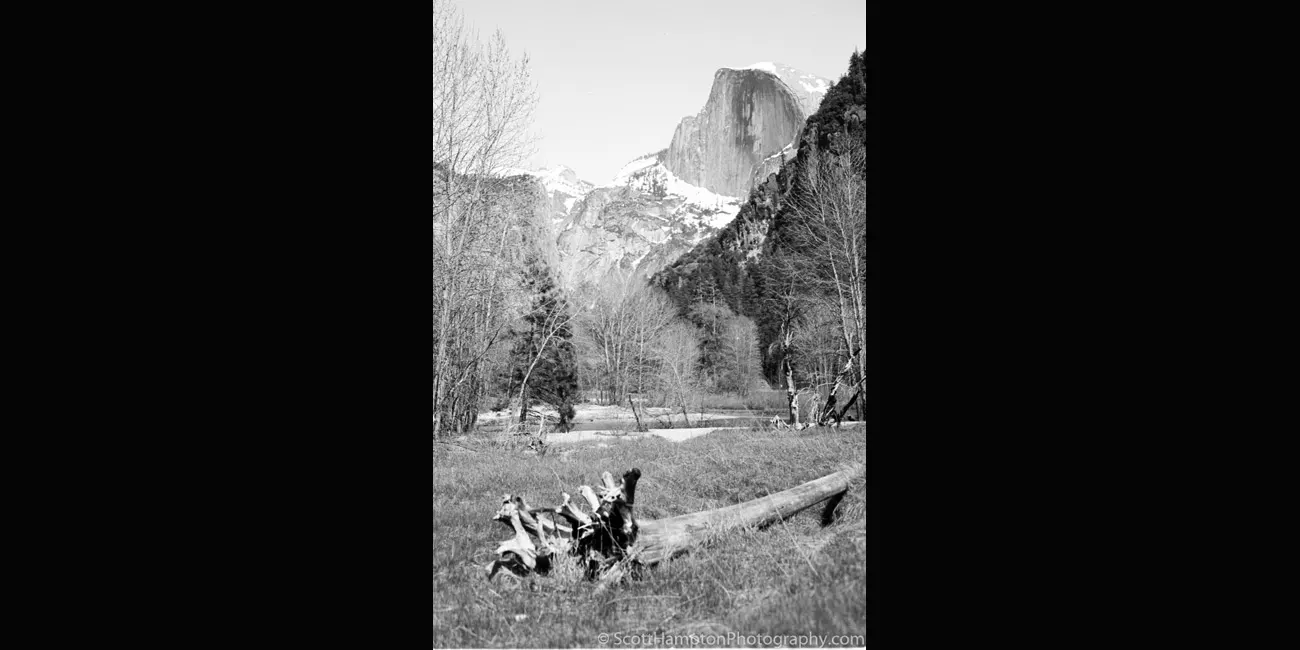 Yosemite, Half Dome, Uprooted Tree After the Flood of 1997