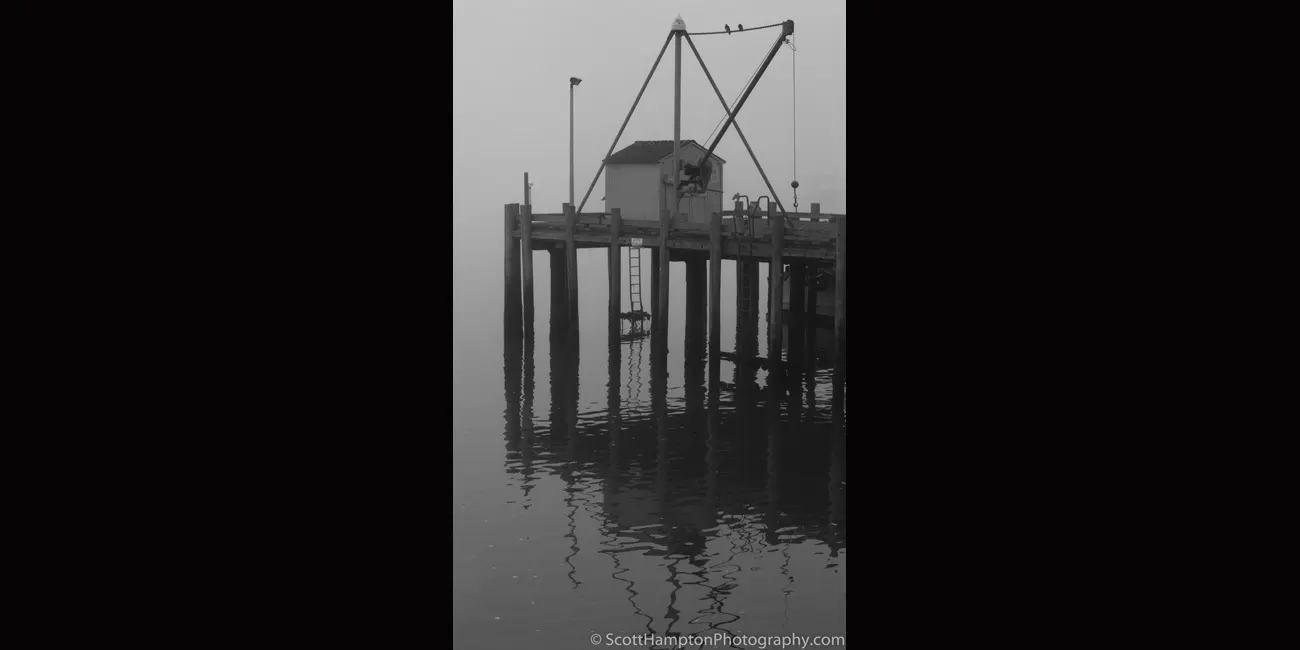 Lone Crane Morro Bay, California