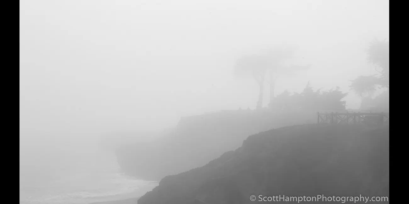 A Foggy Afternoon Near Santa Cruz
